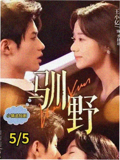野猪影视资讯